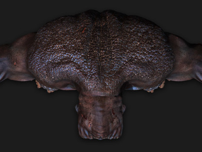 troll_top_zbrush_001